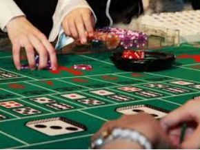 bwin必赢2024最新版